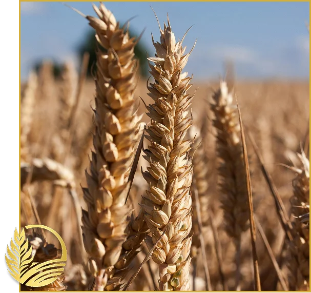 Farm Supplies Canada