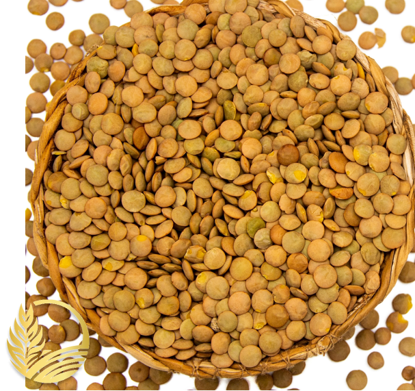 competitive lentil pricing