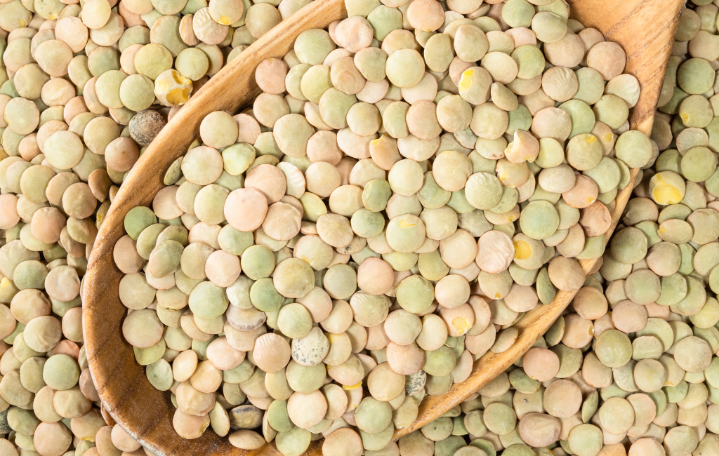 Canadian Lentil Suppliers