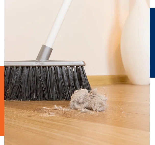 Post Renovation Clean Up