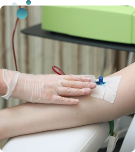 Regenerative Health and Wellness