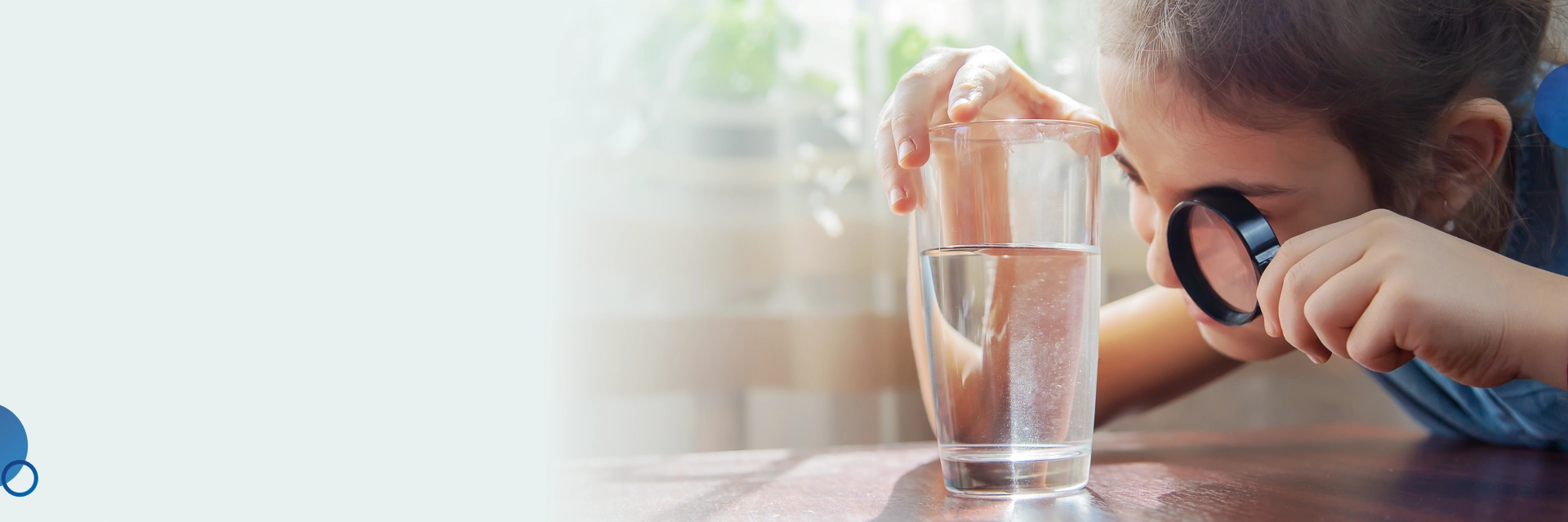 In Home Water Analysis