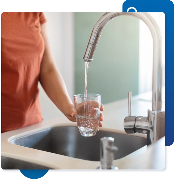 Whole House Water Filtration System