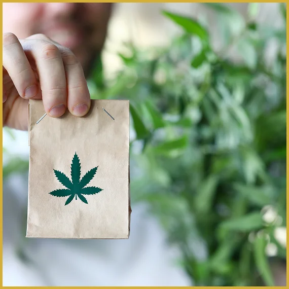 Distribution Strategy Cannabis