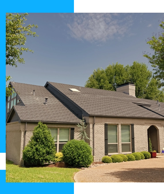 Understanding the Importance of Termite Inspections for Homeowners in Long Island
