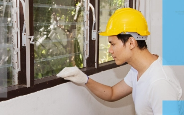 Termite & Wood Destroying Insect Inspection