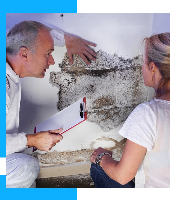 Why Choose Termite & WDI Inspection Services?