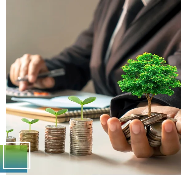 Accounting Firm California