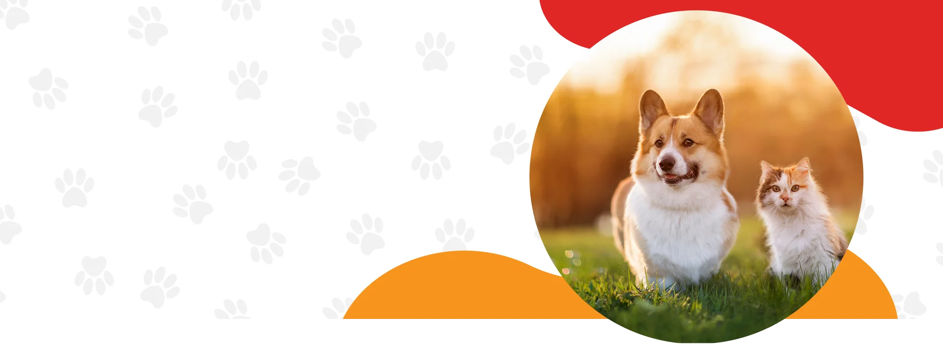 Pet Care Services Germantown