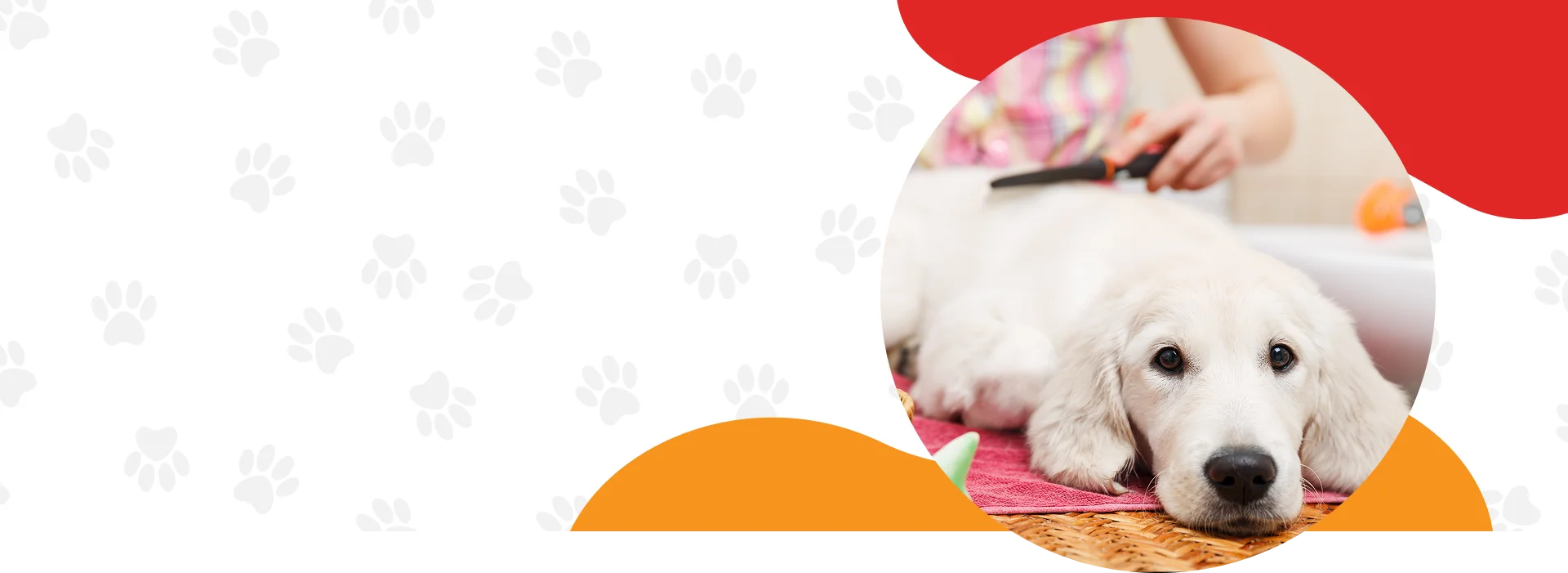 Pet Grooming Services