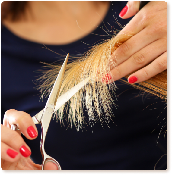 Women’s Haircuts in San Diego