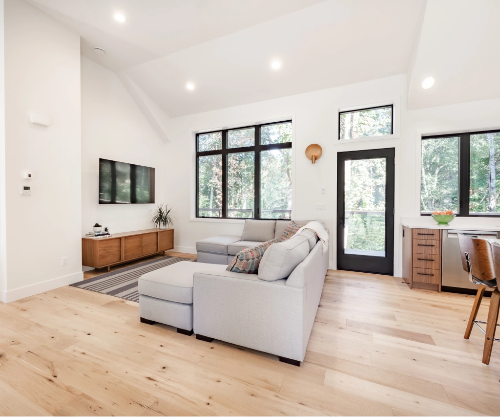 professional cleaning services