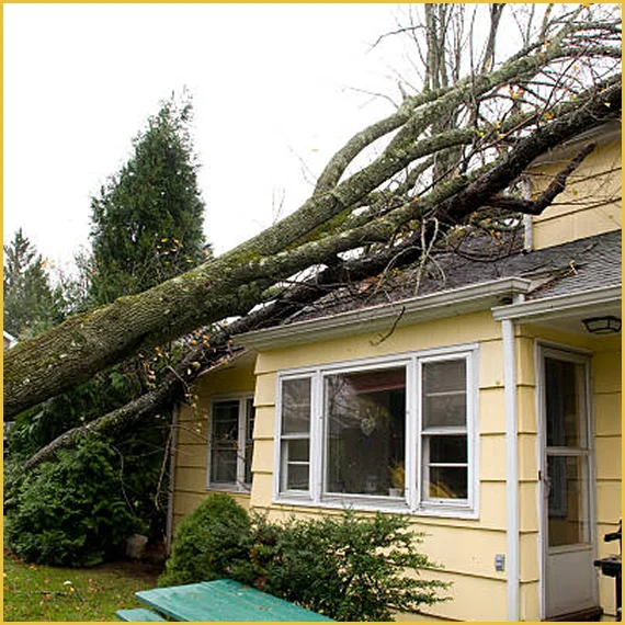 home insurance claims