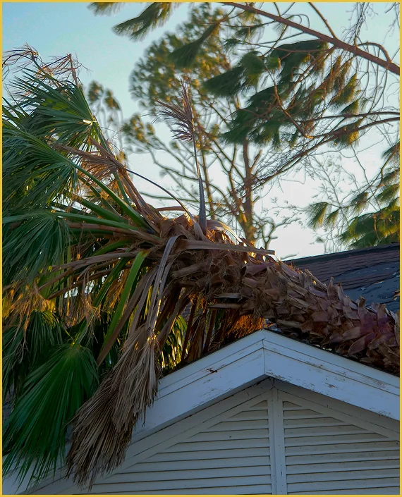 home insurance claims
