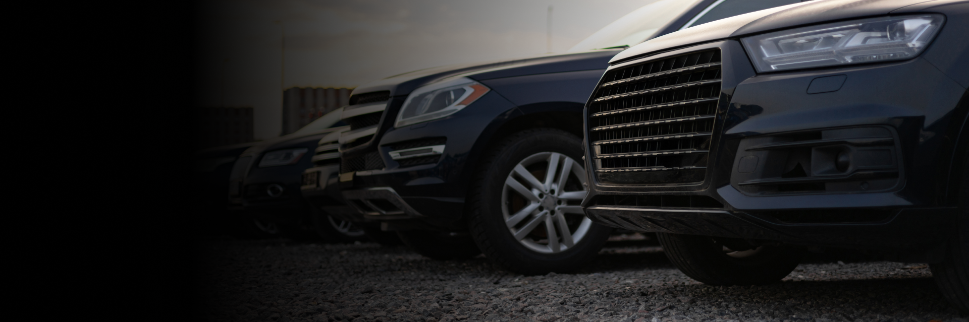 Car Auction South Florida