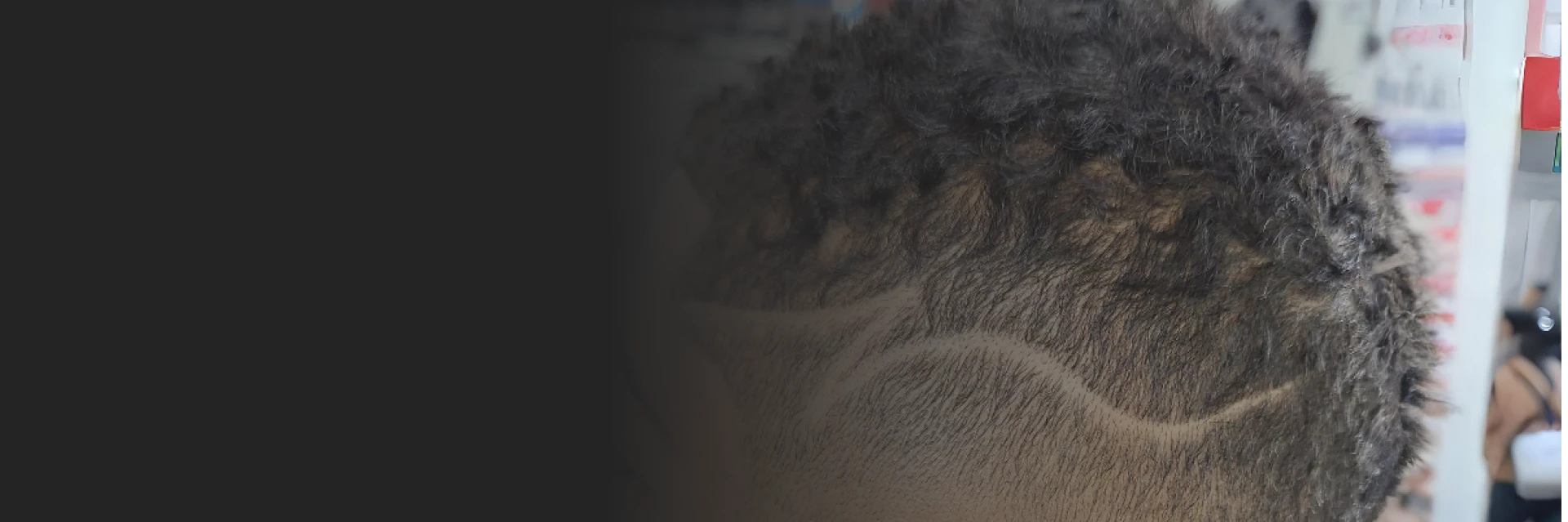 Men's Haircuts & Grooming in San Marcos