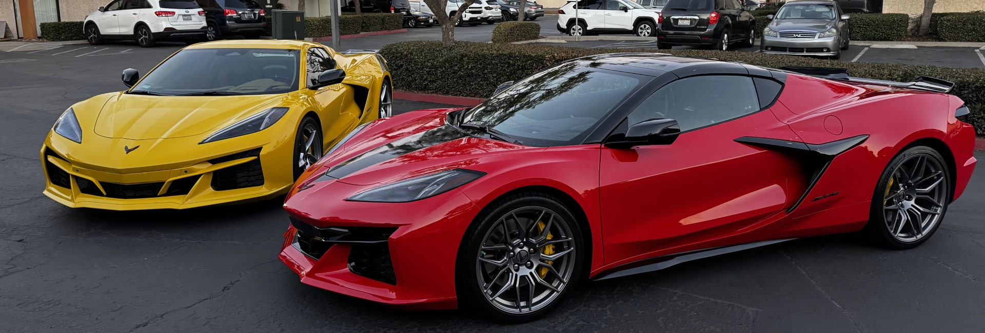 Long-Lasting Paint Protection Film