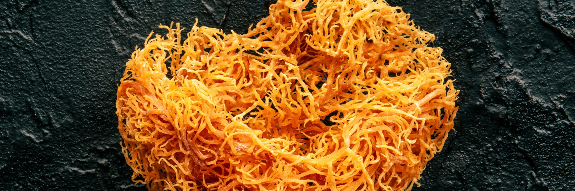 natural health services