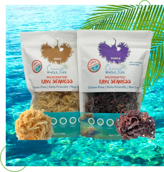 High-Quality Window Solutions