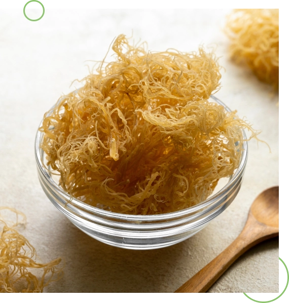Organic & Sustainably Sourced Sea Moss