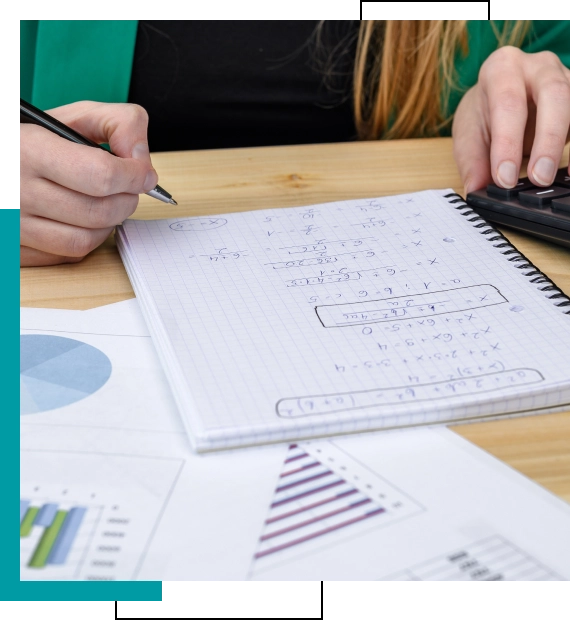 Online Geometry Tutoring