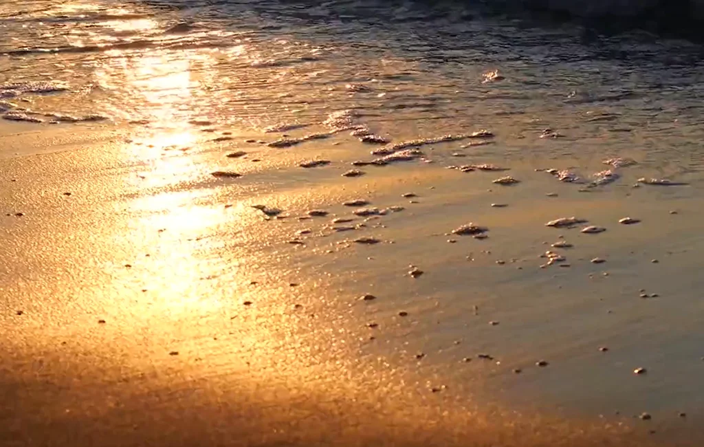 Video Production Company Florida