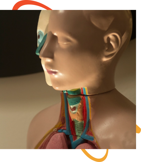 Nasal Cranial Release Therapy