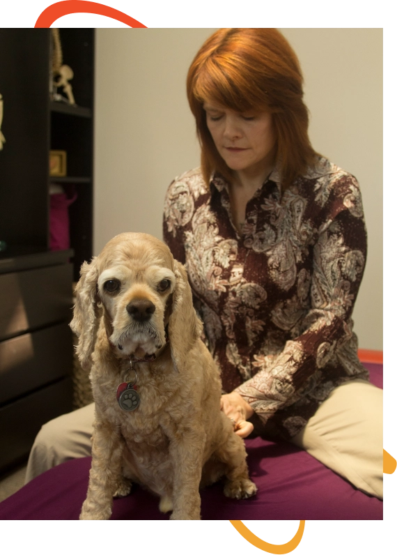 Osteopathy For Animals