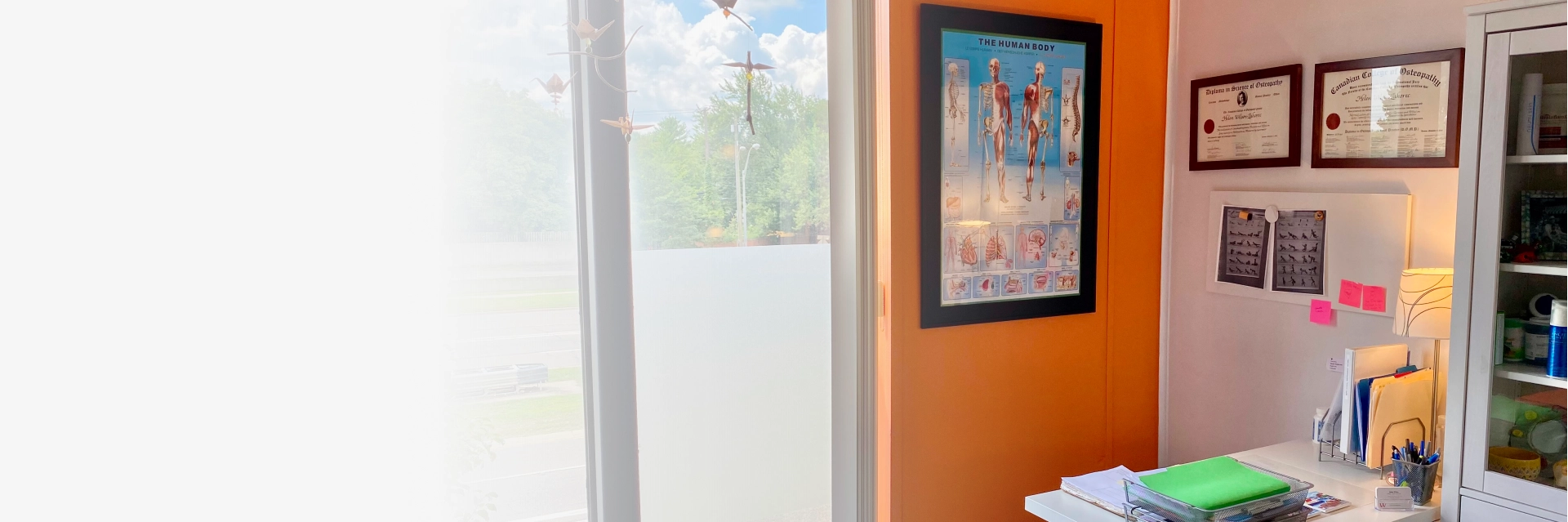 Holistic Wellness Therapies