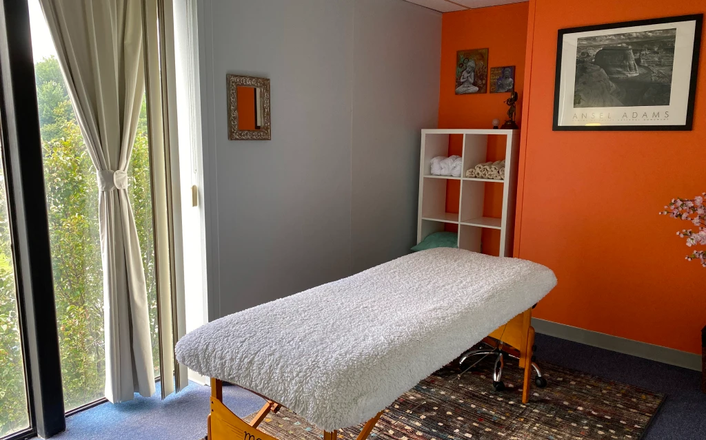 holistic health services