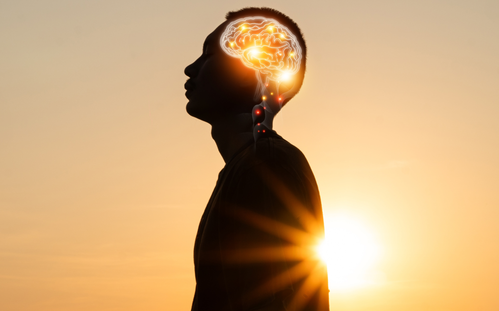 IC Infopathy Structured Water