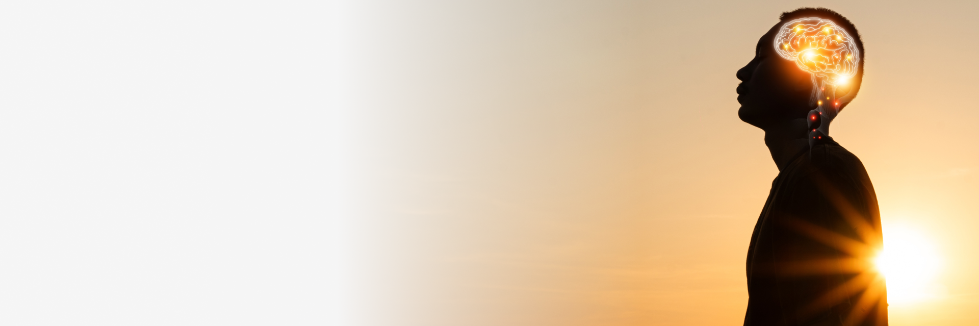 IC Infopathy Structured Water