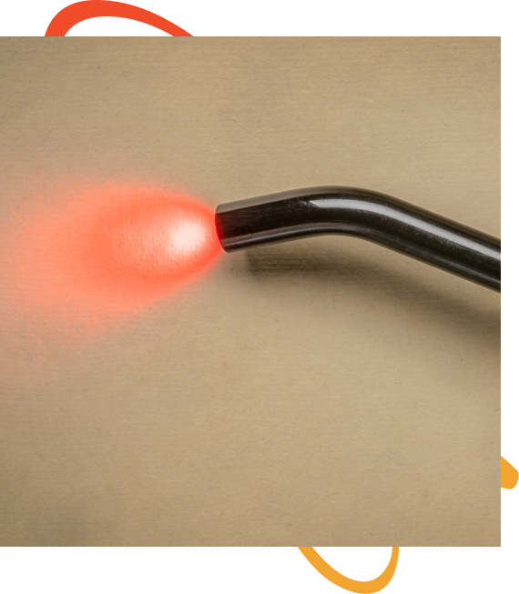 Cognitive Clarity and Brain Function