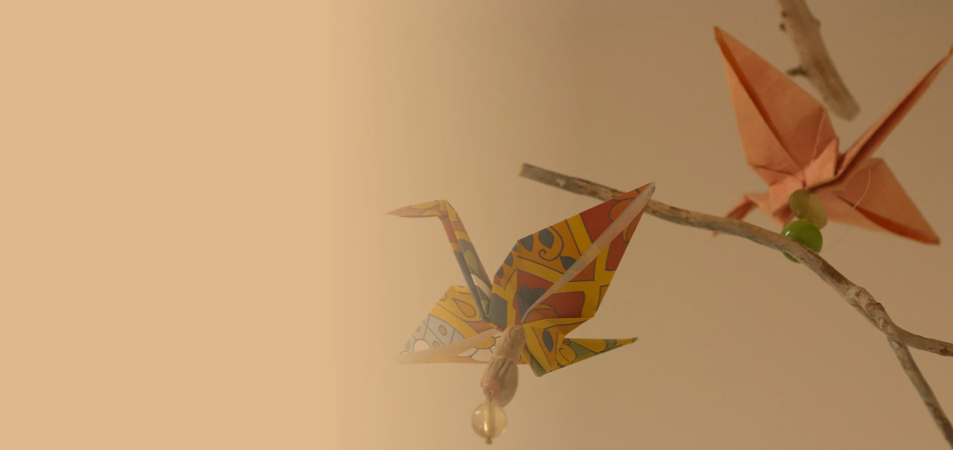 Holistic Wellness Solutions