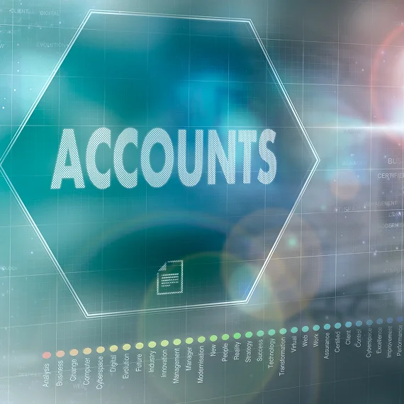 Accounts Receivable and Payable Services