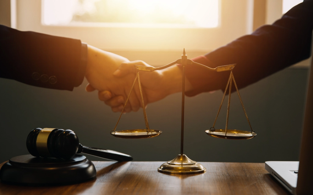 medical-legal services