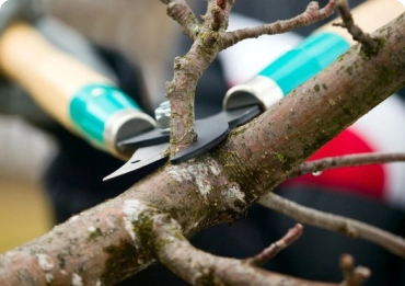 quick project estimates