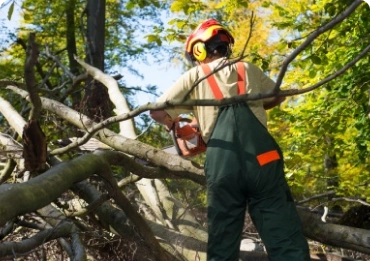 transparent progress updates