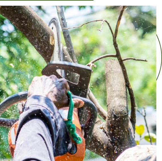 safe trimming practices