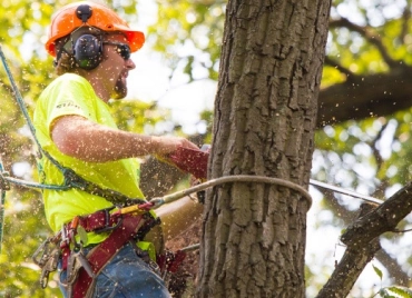 safety-first service culture