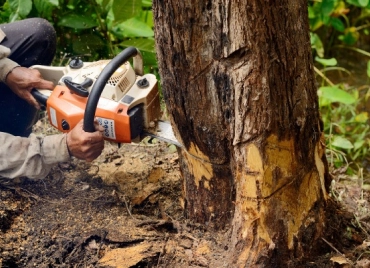 professional maintenance planning