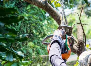 industry-standard equipment