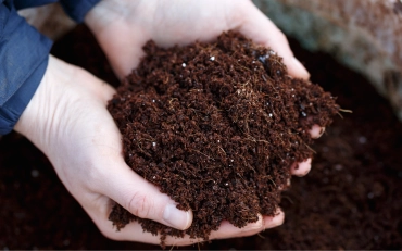 safety-focused property work