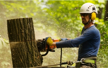 clear quotes and scheduling