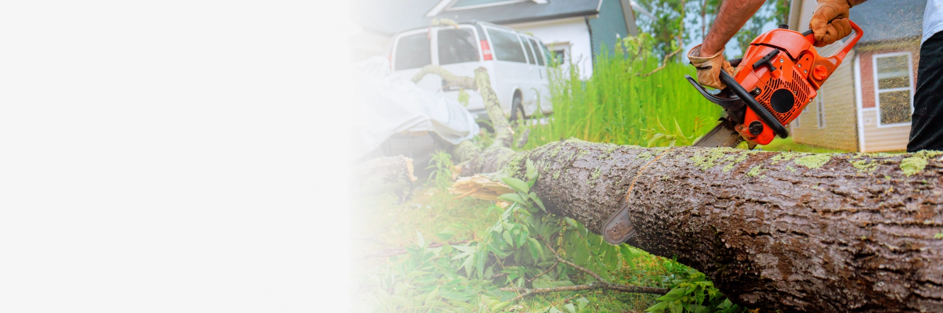 Emergency Tree Services