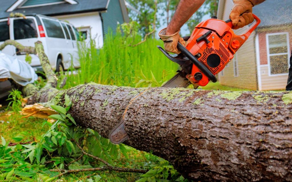 Emergency Tree Services