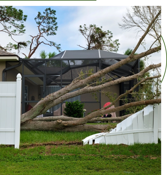 customer safety guidance