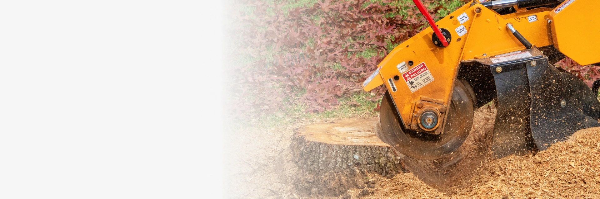 Stump Grinding Austin