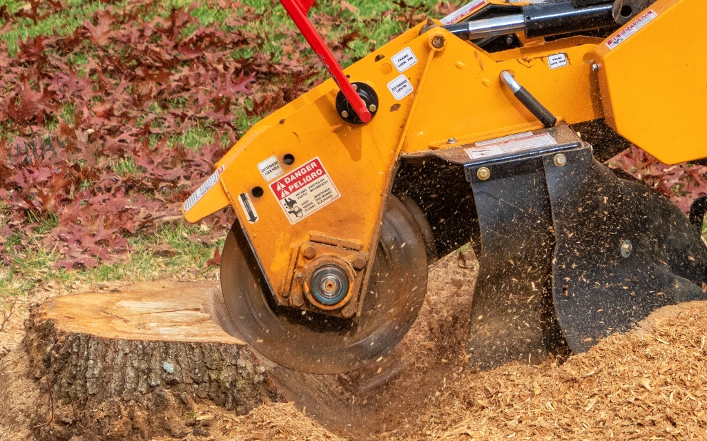 Stump Grinding Austin
