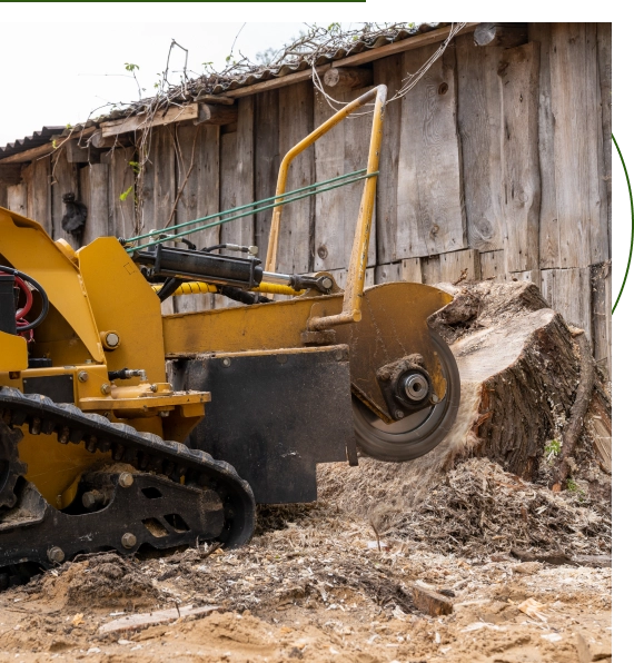 stump cleanup and regrading